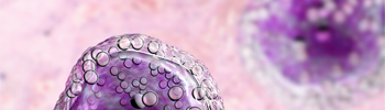 Articles scientifiques